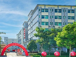 產(chǎn)業(yè)生態(tài)雙輪驅(qū)動：靈科超聲波領(lǐng)跑“專精特新”賽道